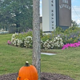 Schedule a tour today and FALL in love with The Lively at Victor Park! Instagram post from @livelyvictorpark on October 02, 2024 00:00:00am