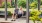 a couple sitting on a wooden swing-bench outdoors