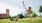 a young man stretches in the grass outdoors